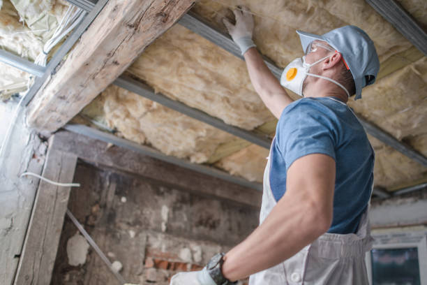 Best Residential Insulation in Jasper, GA