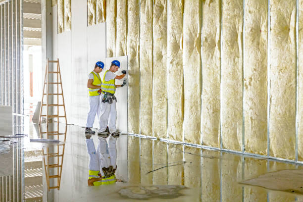Best Insulation Maintenance and Repair in Jasper, GA